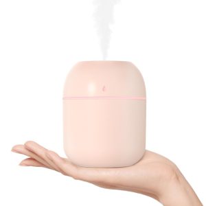 Portable Mini USB Cool Mist Humidifier (220ml)